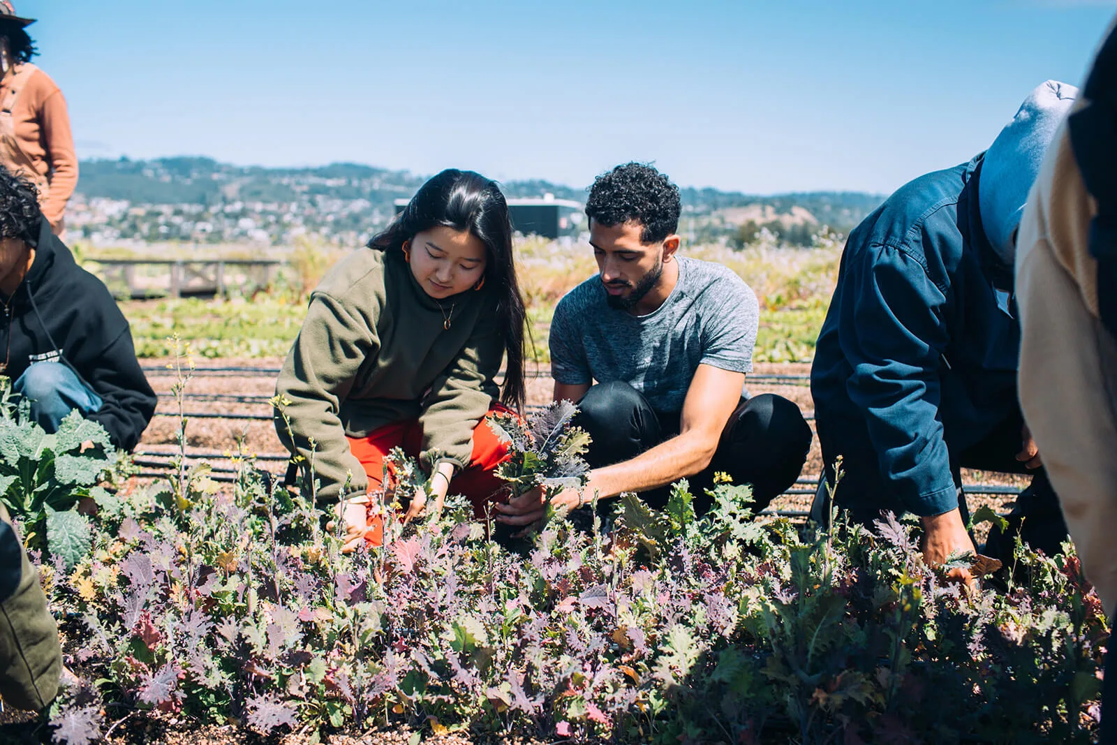 Funding Eligibility Food and Farm Communications Fund