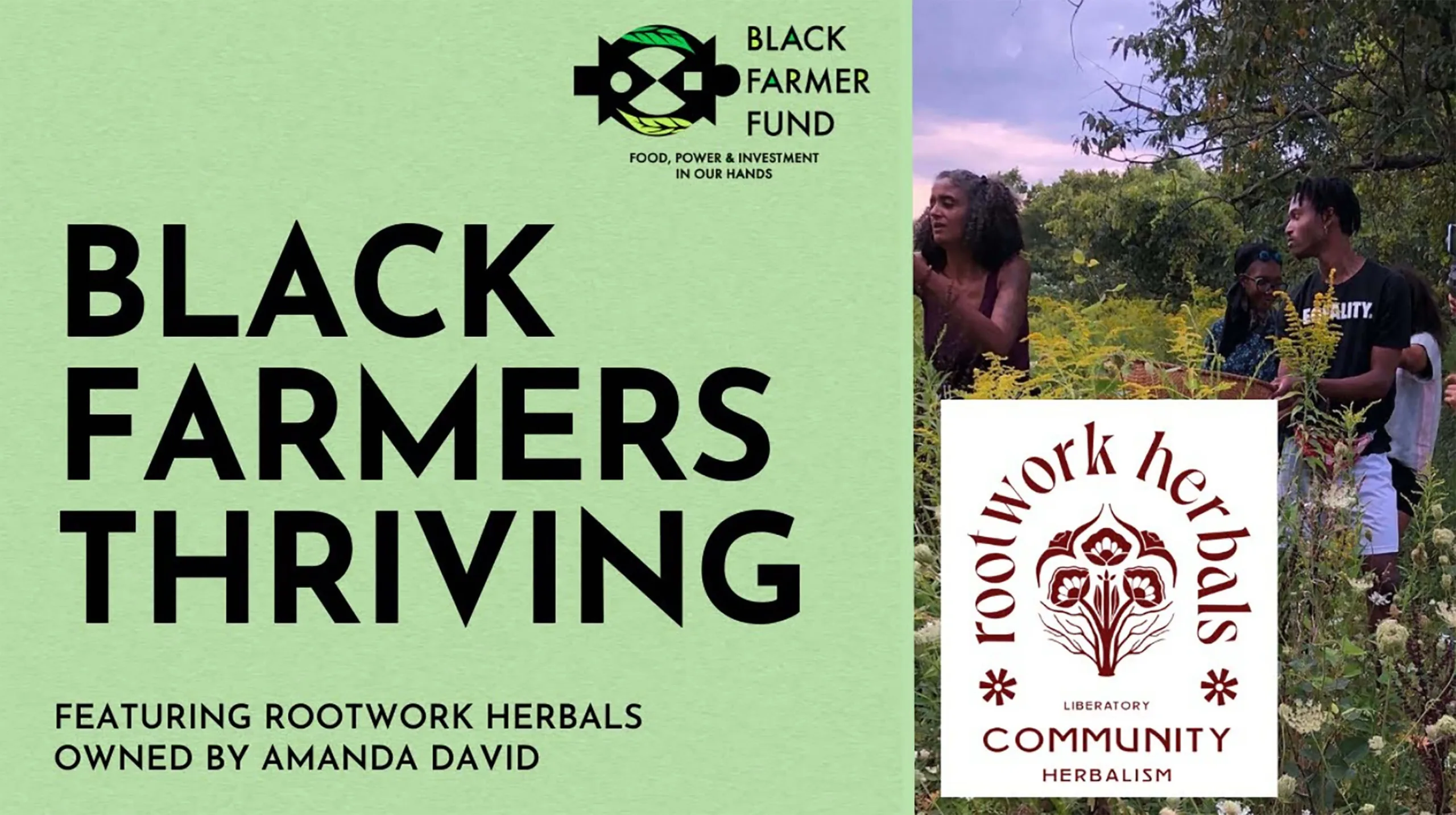 Featured image for “Black Farmer Fund”