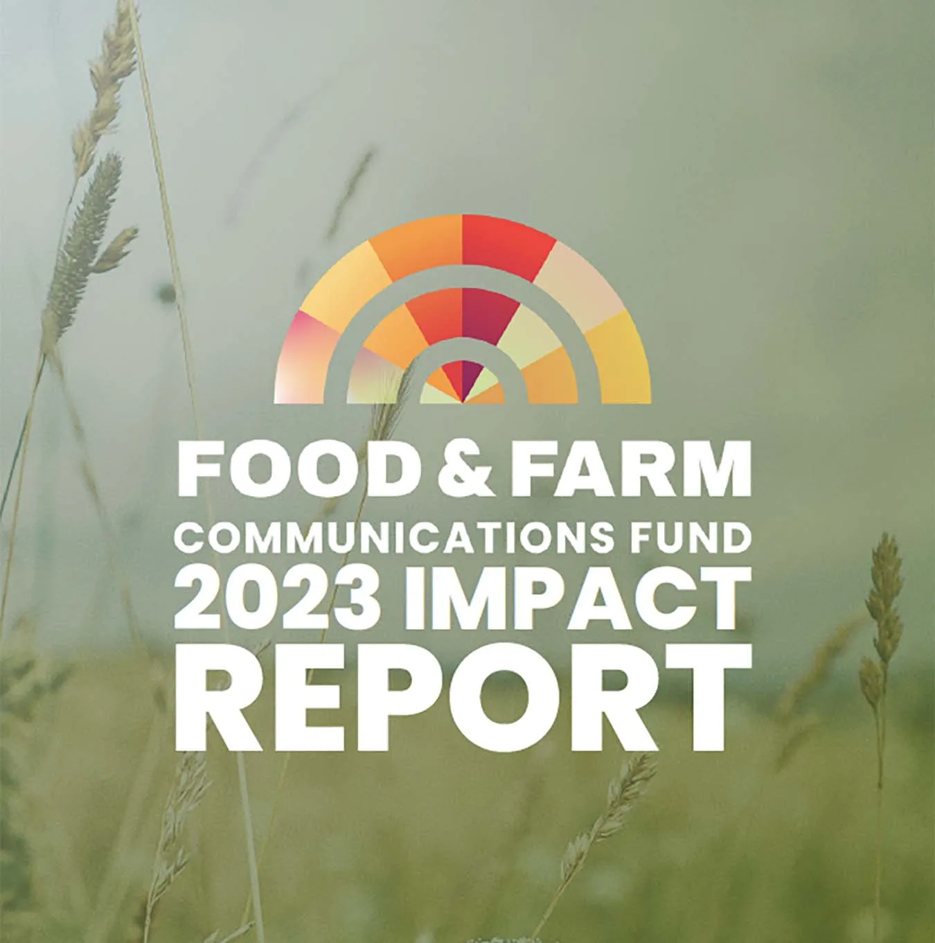 Featured image for “Impact Report 2023”