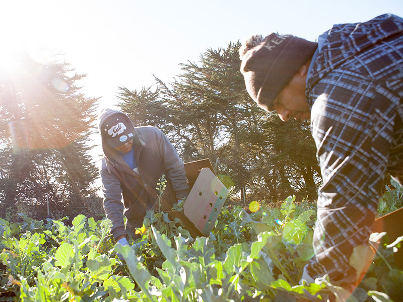 Our Approach Food and Farm Communications Fund